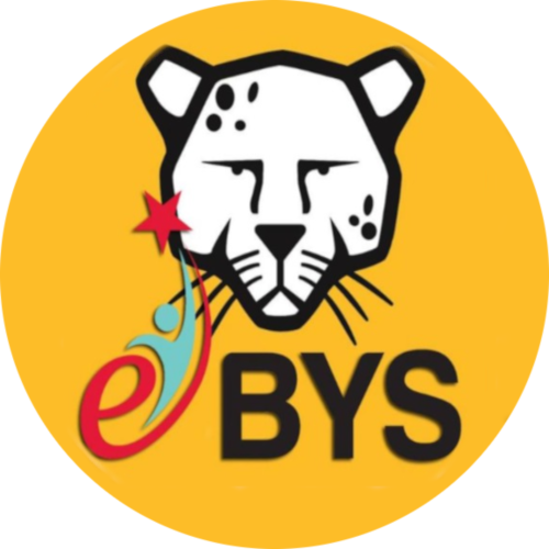 EBYS - DYS